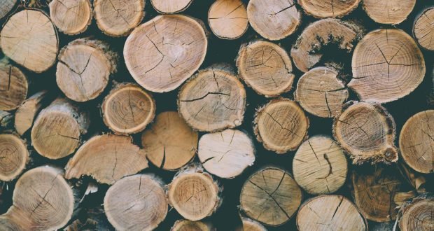 kurenie-drevom-talc.sk